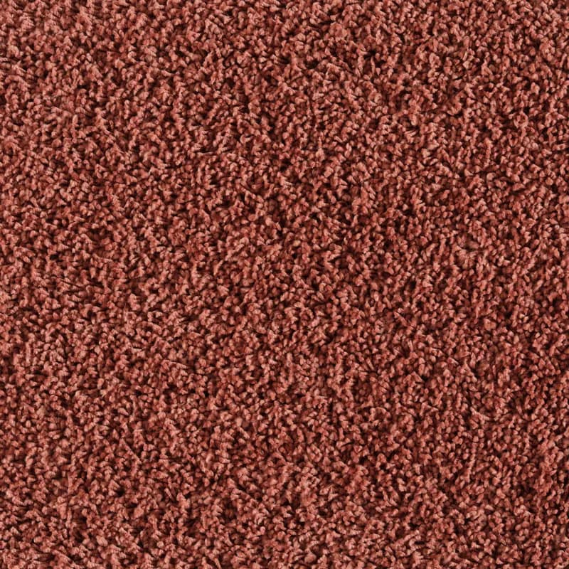 Menkanta 180 Regocijo