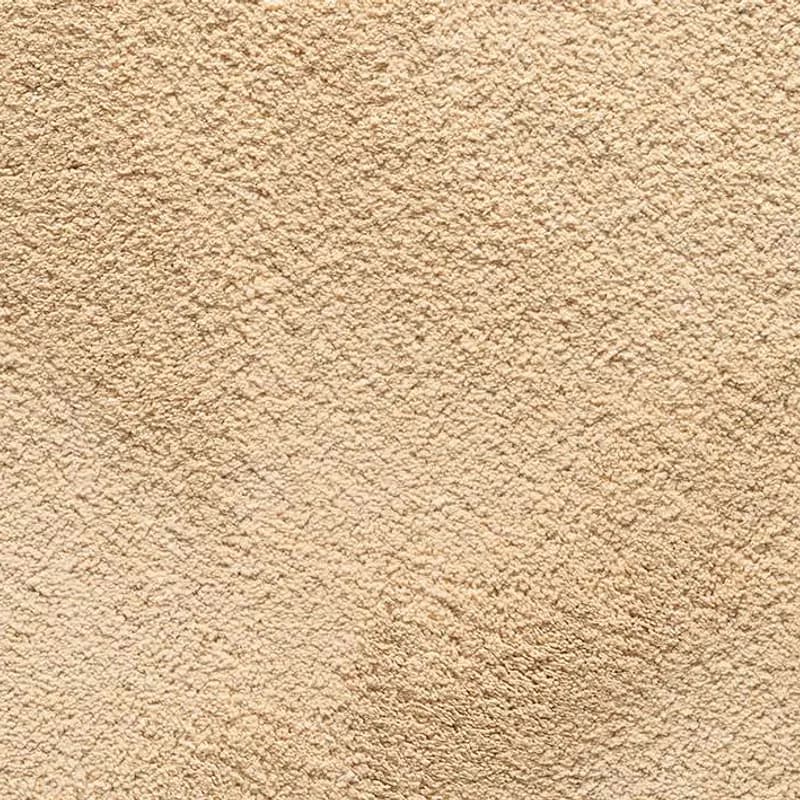 Xuavi 53 Magdalena de Proust